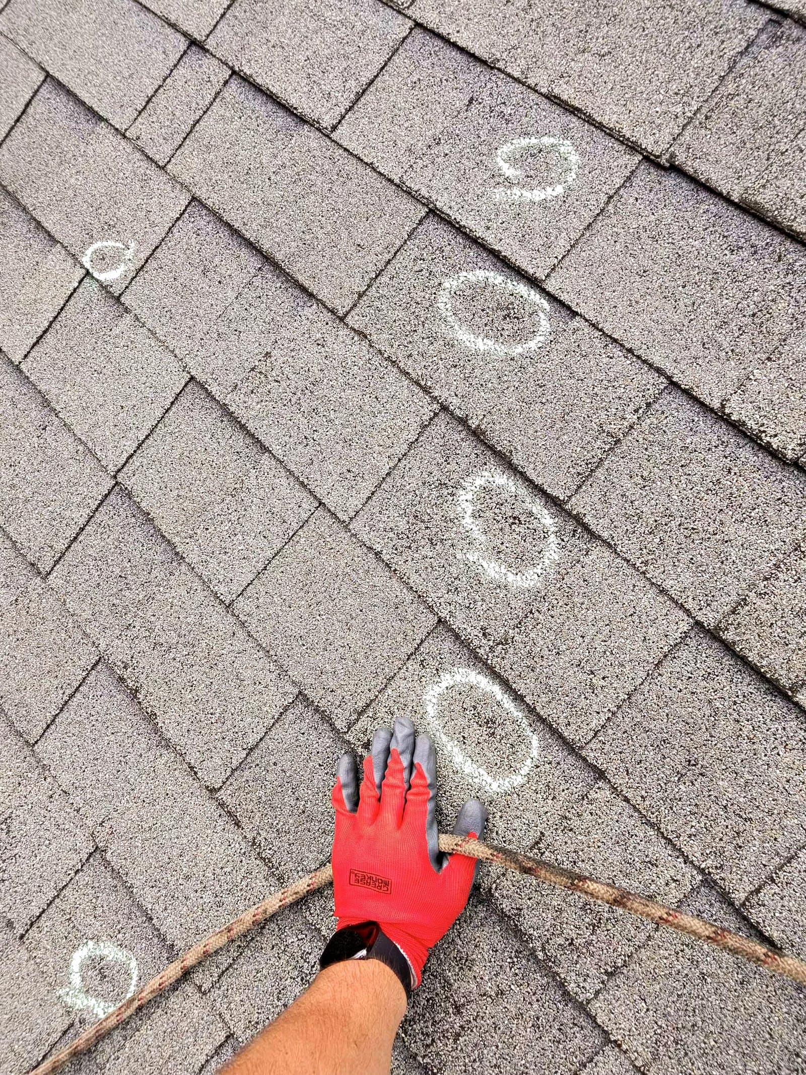 Free inspection